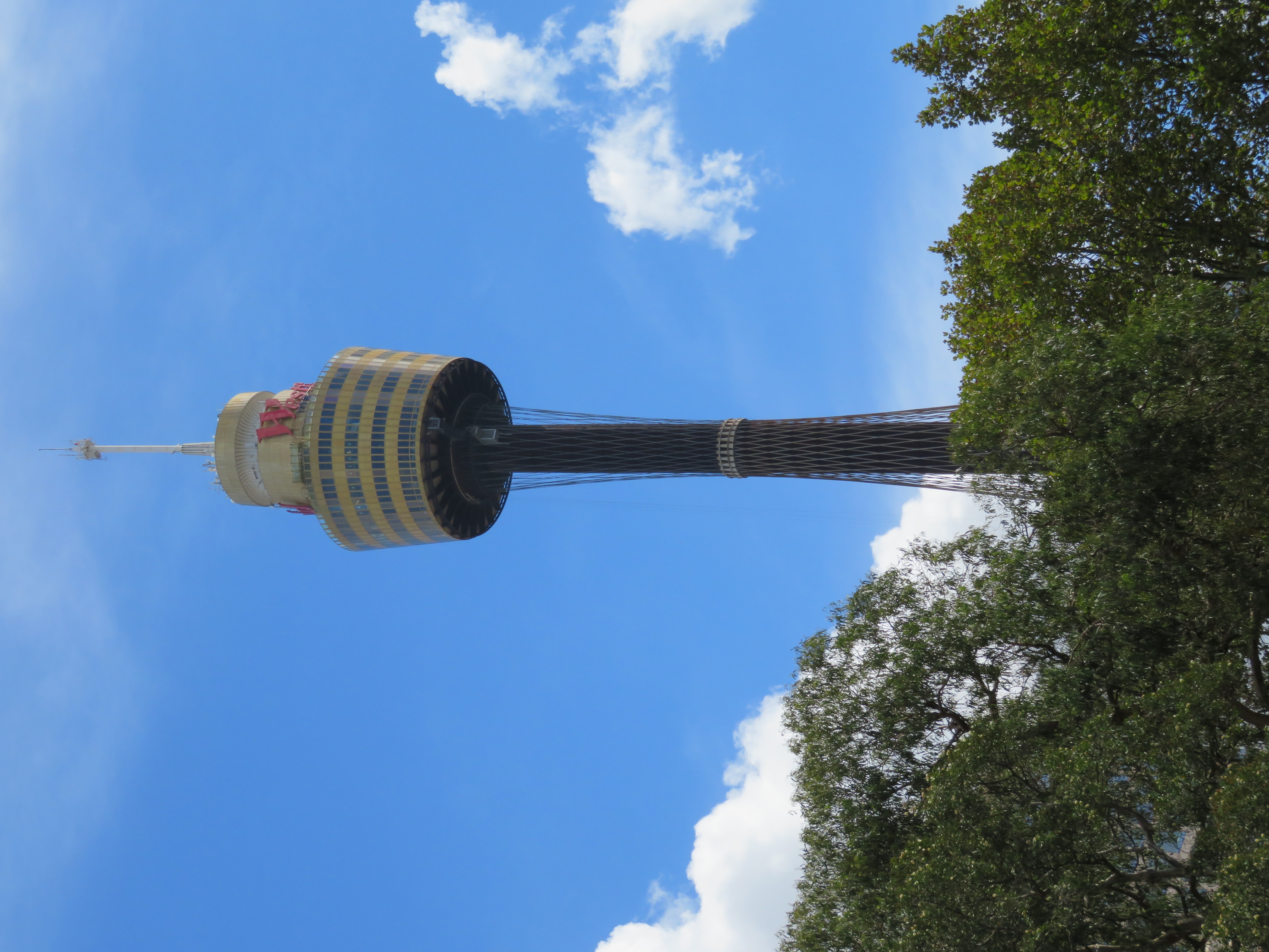 Bild des Sydney Tower